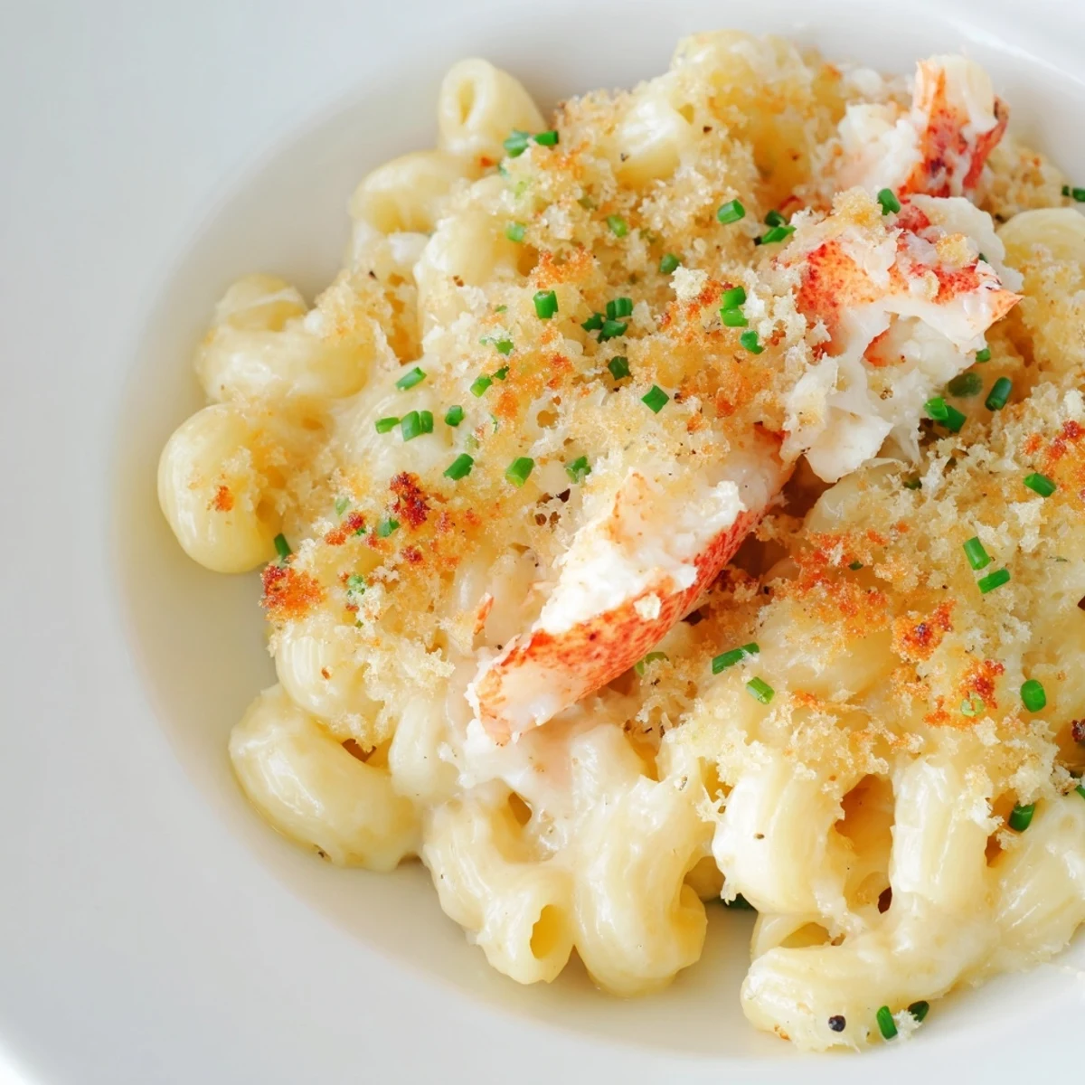 Lobster Mac and Cheese: cremige Käsesauce mit Stücken, überbackenem Brotkrümeln und würziger Trüffelöl-Tropfung am Teller.